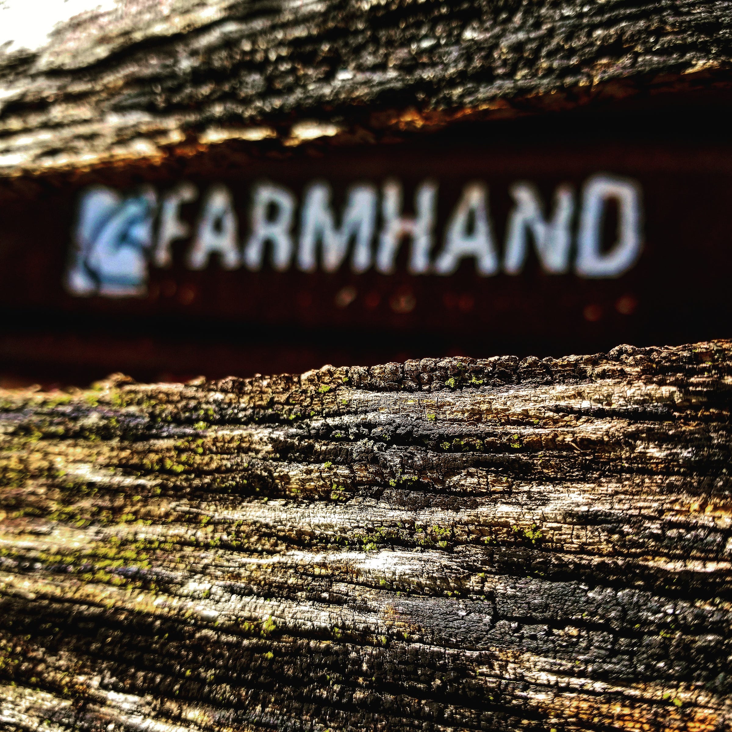 Farmhand - Image by Shawn R. Metivier, 2017