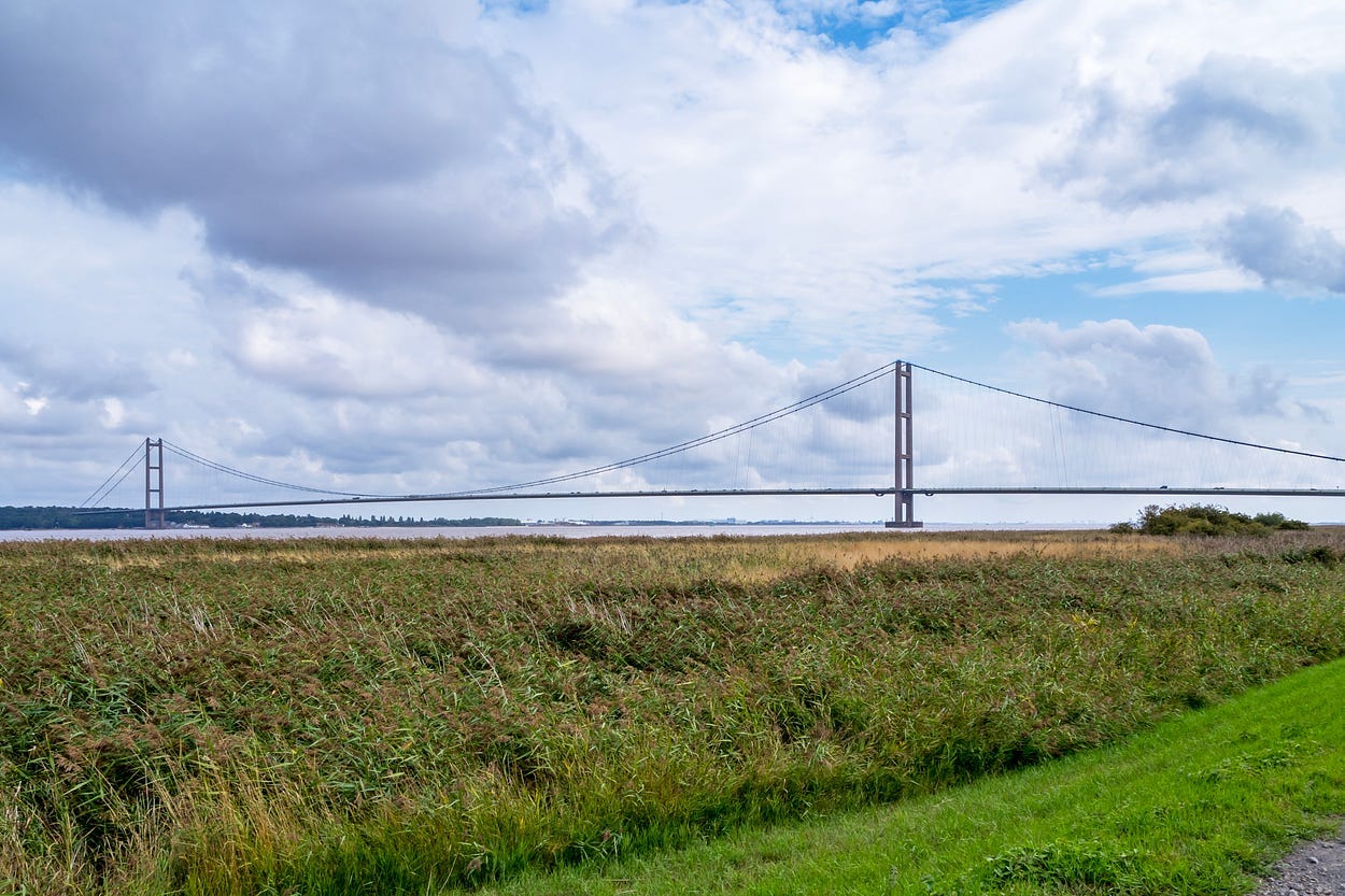 Photograph of the Humber Bridge seen across a large reedbed. The estuary is just visible behind the reeds, and there is a blue cloudy sky above.