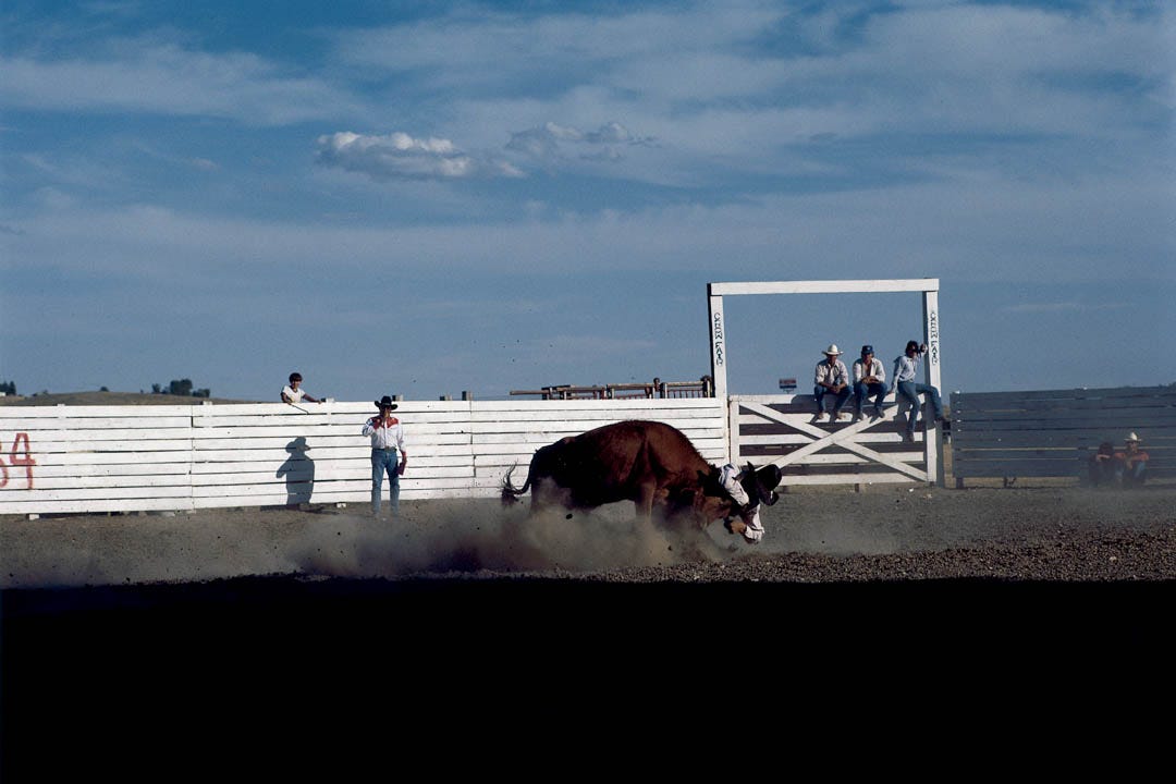 Bulldogging, Crow Fair, Crow Agency, Mondata. © Sam Abell