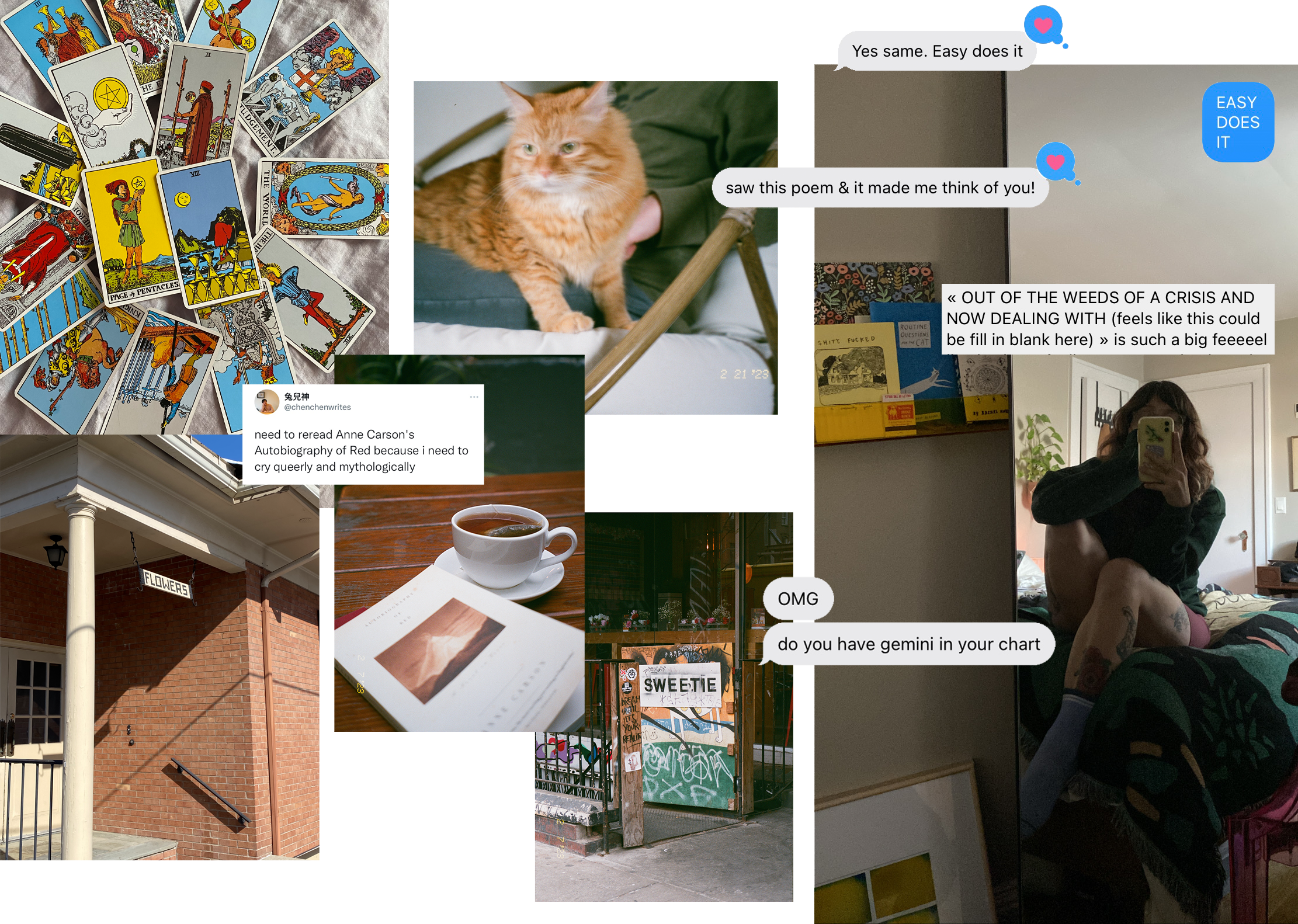 a circular spread of tarot cards with the page of pentacles and 7 of cups in the center; a film photograph of an orange fluffy cat, a text that reads "saw this poem & it made me think of you"; another text that reads "EASY DOES IT"; a mirror selfie of bridget in their bedroom