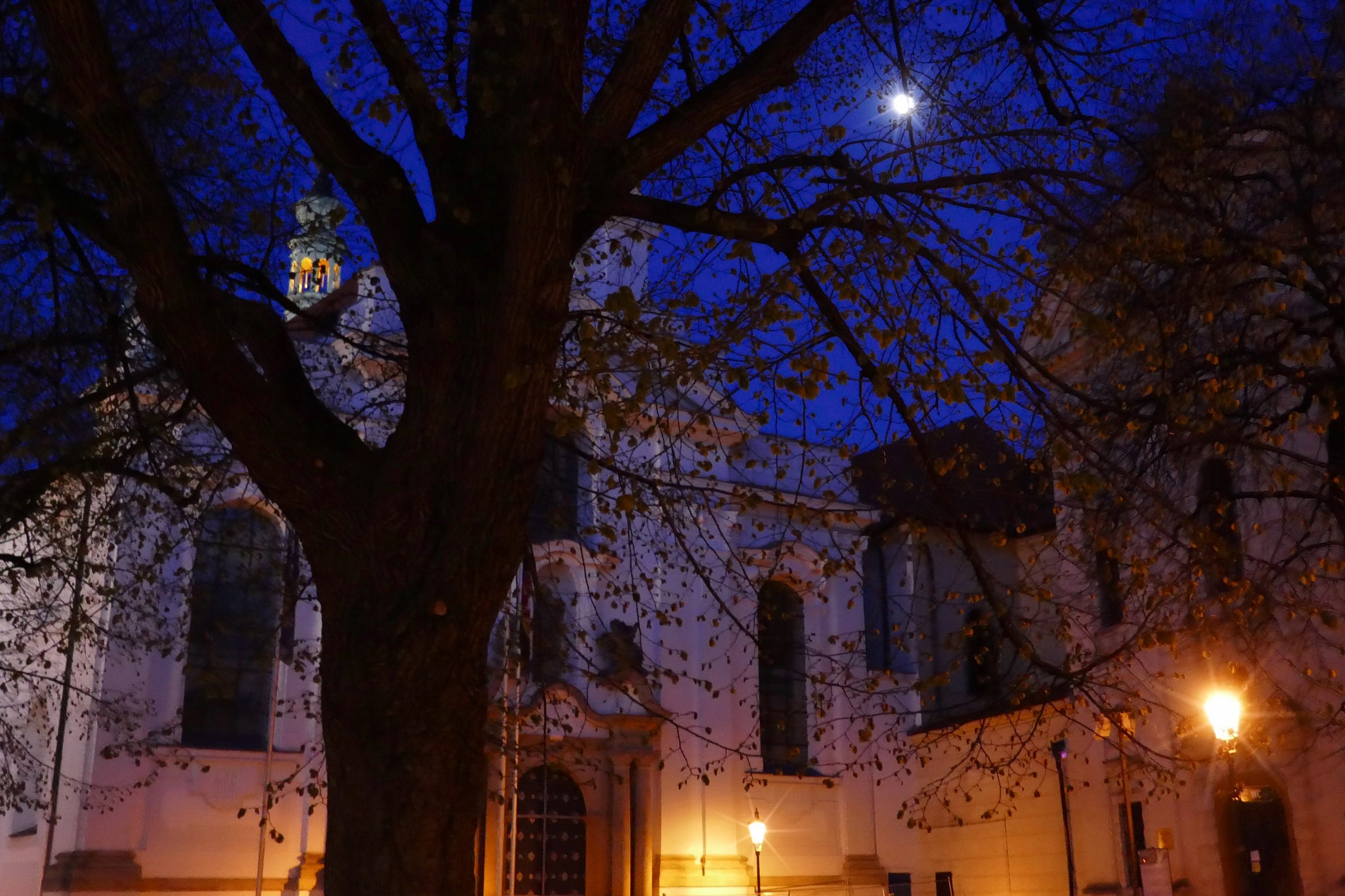 The small full moon shines through the tree branches with an old church behind the trees and street lamps shining in the darkness