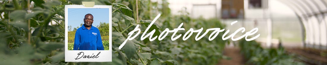 A close up of plants in a green house with the word 'photovoice' in the middle and an image of a man with his name 'Daniel' below it. 
