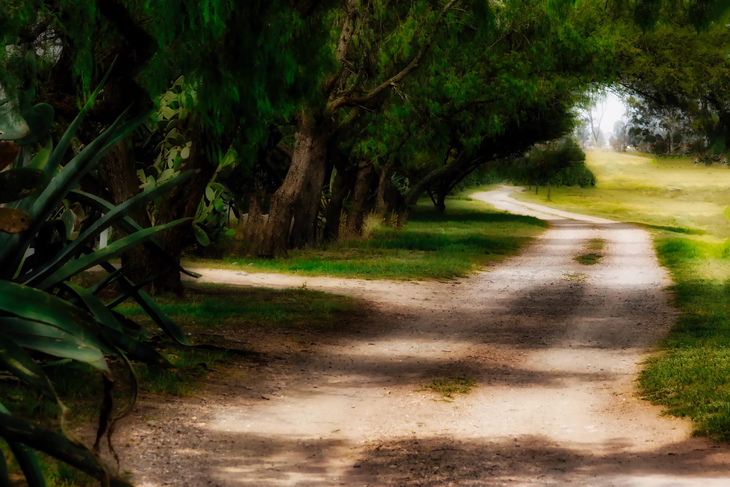 A mystical photo of a dirt road with a turn to the left half-way down the road with shadowy dark green trees on the left side of the road and a small  patch of blue sky on the top right corner of the scene