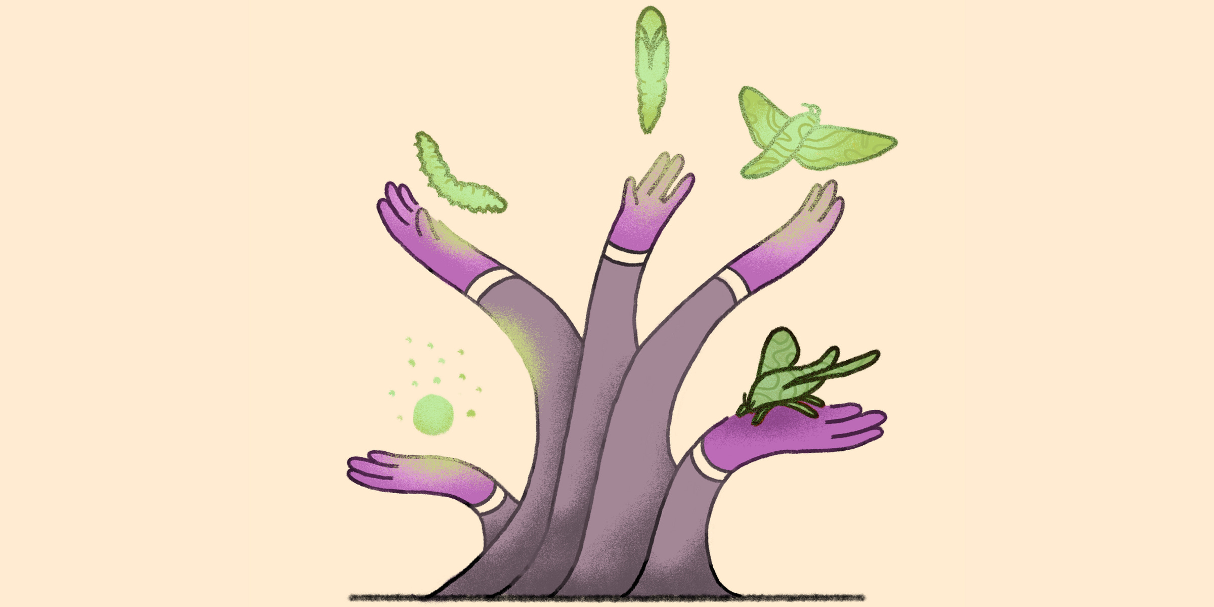 Five hands emerging from the ground depicting the lifecycle of an insect (butterfly/moth). The leftmost hand holds an egg, the next hand- a caterpillar, the next- a cocoon, and so on. The rightmost hand depicts the final full-grown butterfly/moth Five hands emerging from the ground depicting the lifecycle of an insect (butterfly/moth). The leftmost hand holds an egg, the next hand- a caterpillar, the next- a cocoon, and so on. The rightmost hand depicts the final full-grown butterfly/moth