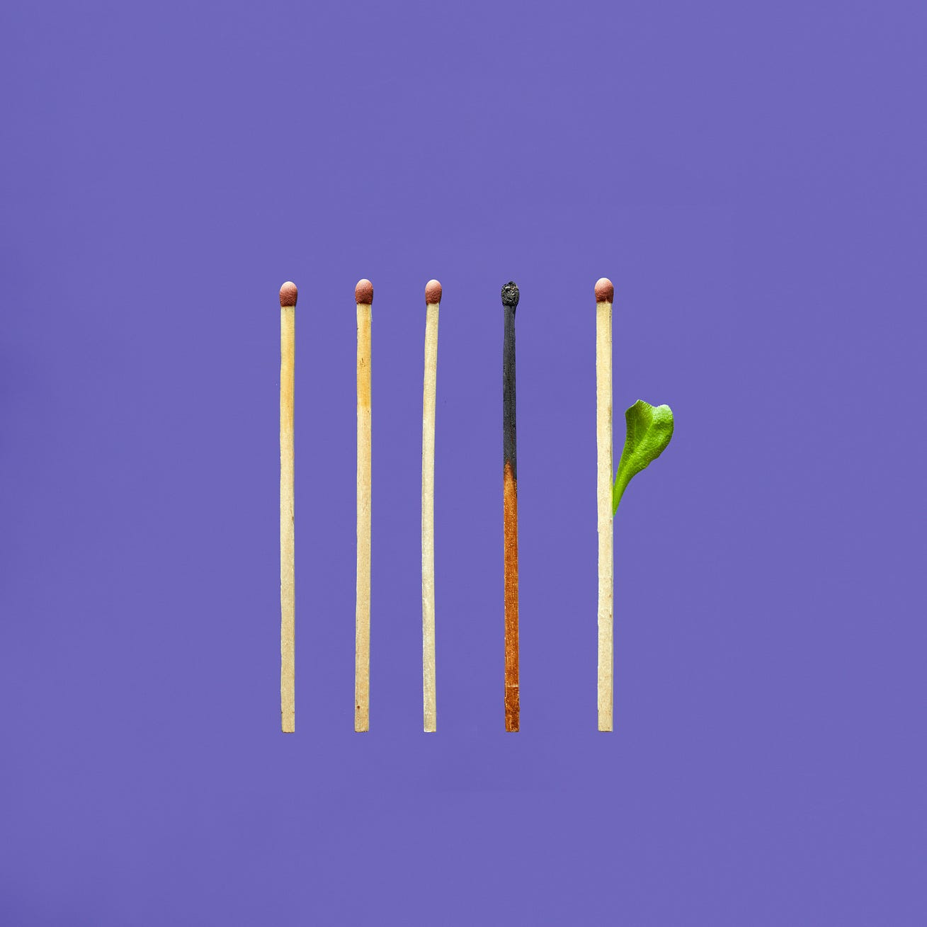 Five Matches — One burnt, and one growing a leaf
