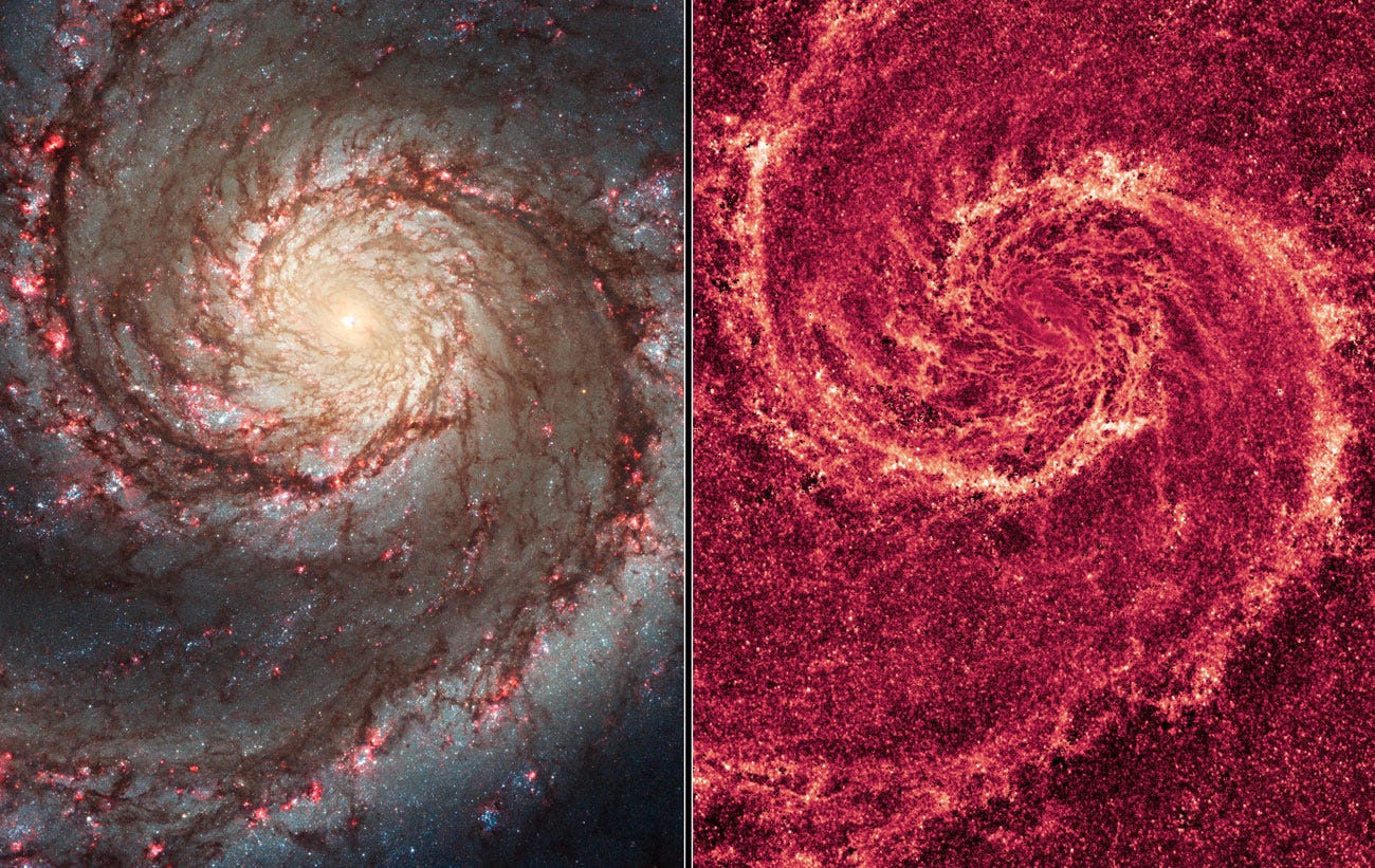 Two Hubble images of M51. On the left is in visible light, with the spiral arms of the galaxy in blue and dotted with red star forming clouds; on the right the dusty clouds show up as eerie yellow web-like strands throughout the arms. Two Hubble images of M51. On the left is in visible light, with the spiral arms of the galaxy in blue and dotted with red star forming clouds; on the right the dusty clouds show up as eerie yellow web-like strands throughout the arms.