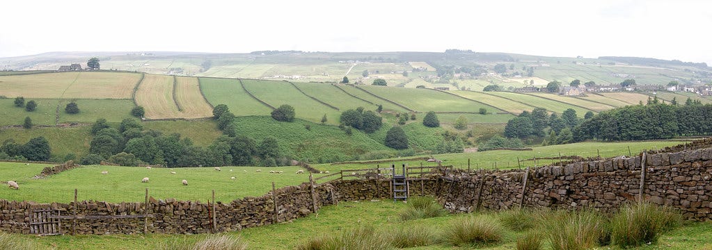 Dales Field Walls