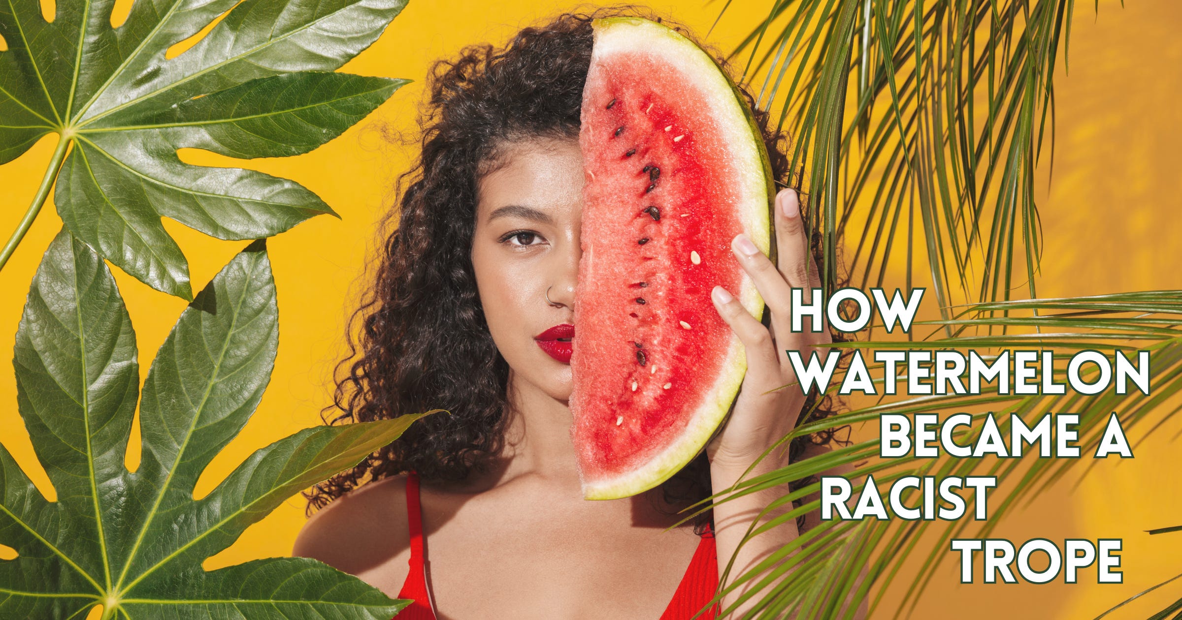 Nyasha Williams Watermelon Racist Sterotype