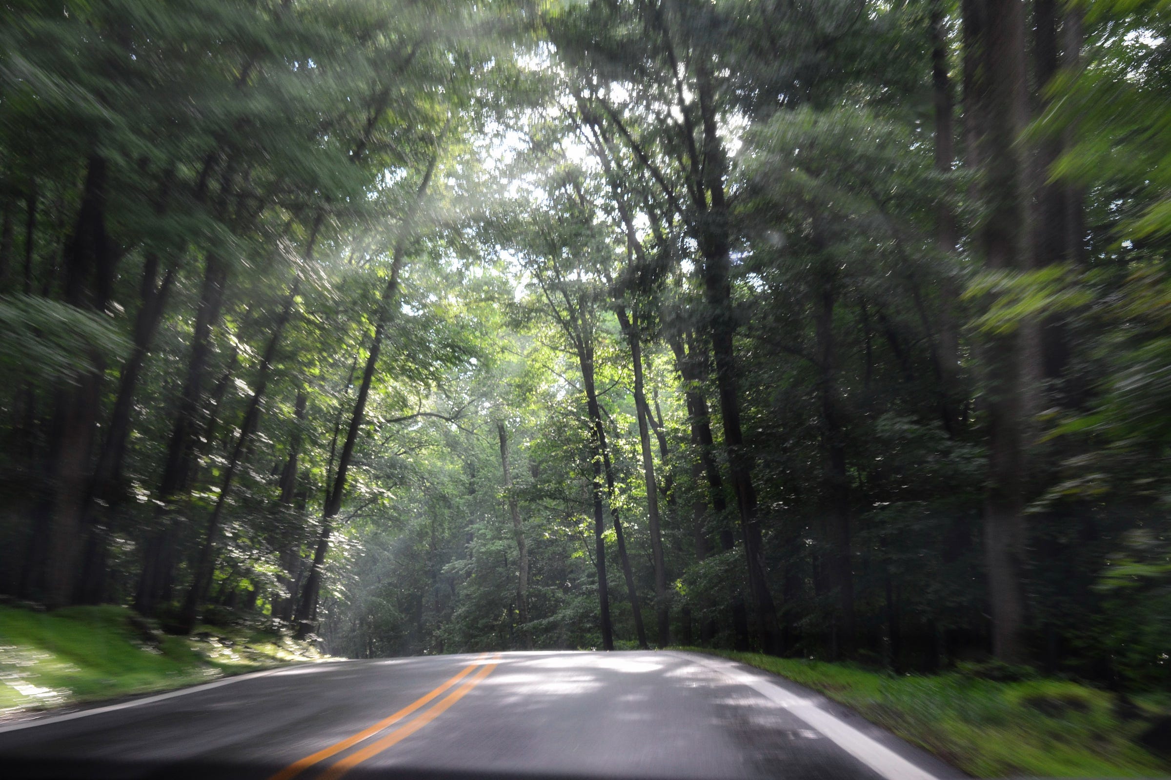 A paved country road with yellow strips in the center, the sun’s rays piercing through the trees lining the road