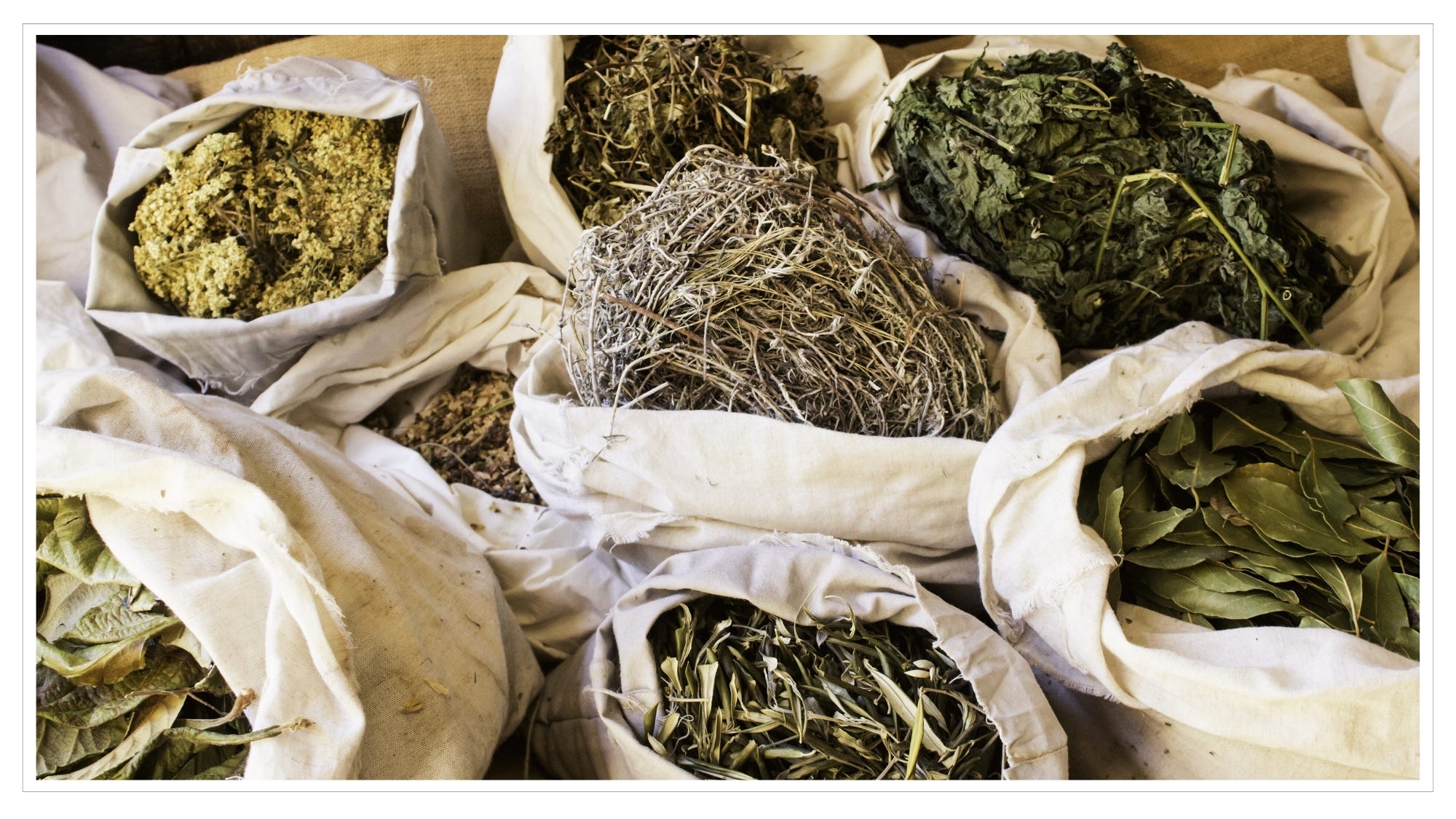 Muslin bags of dried herbal leaves
