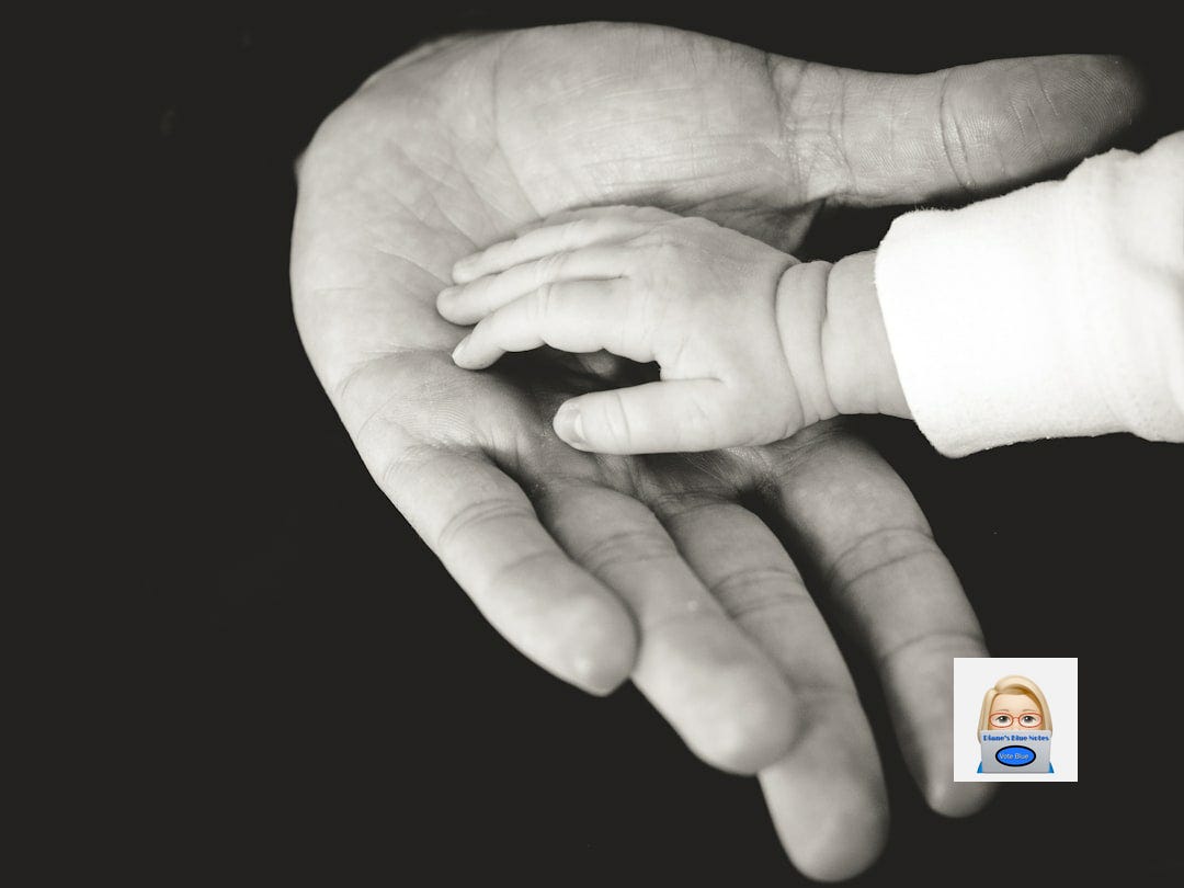 child and parent hands photography