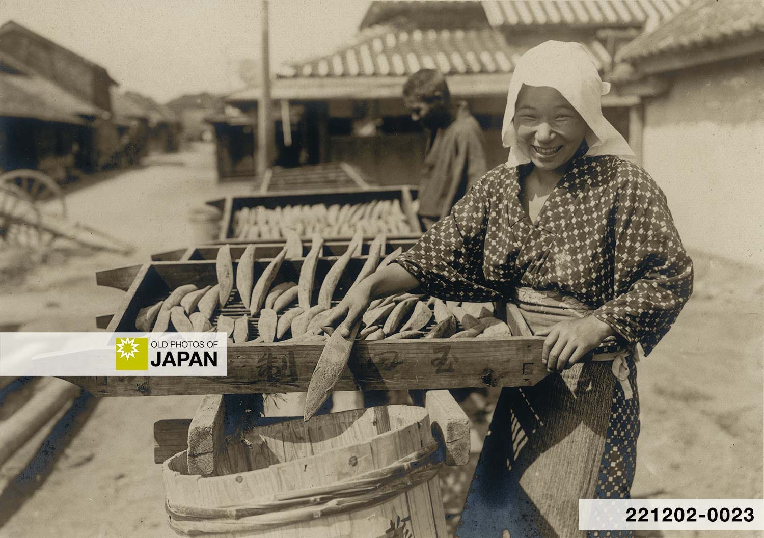 Young Japanese woman drying bonito, 1910s