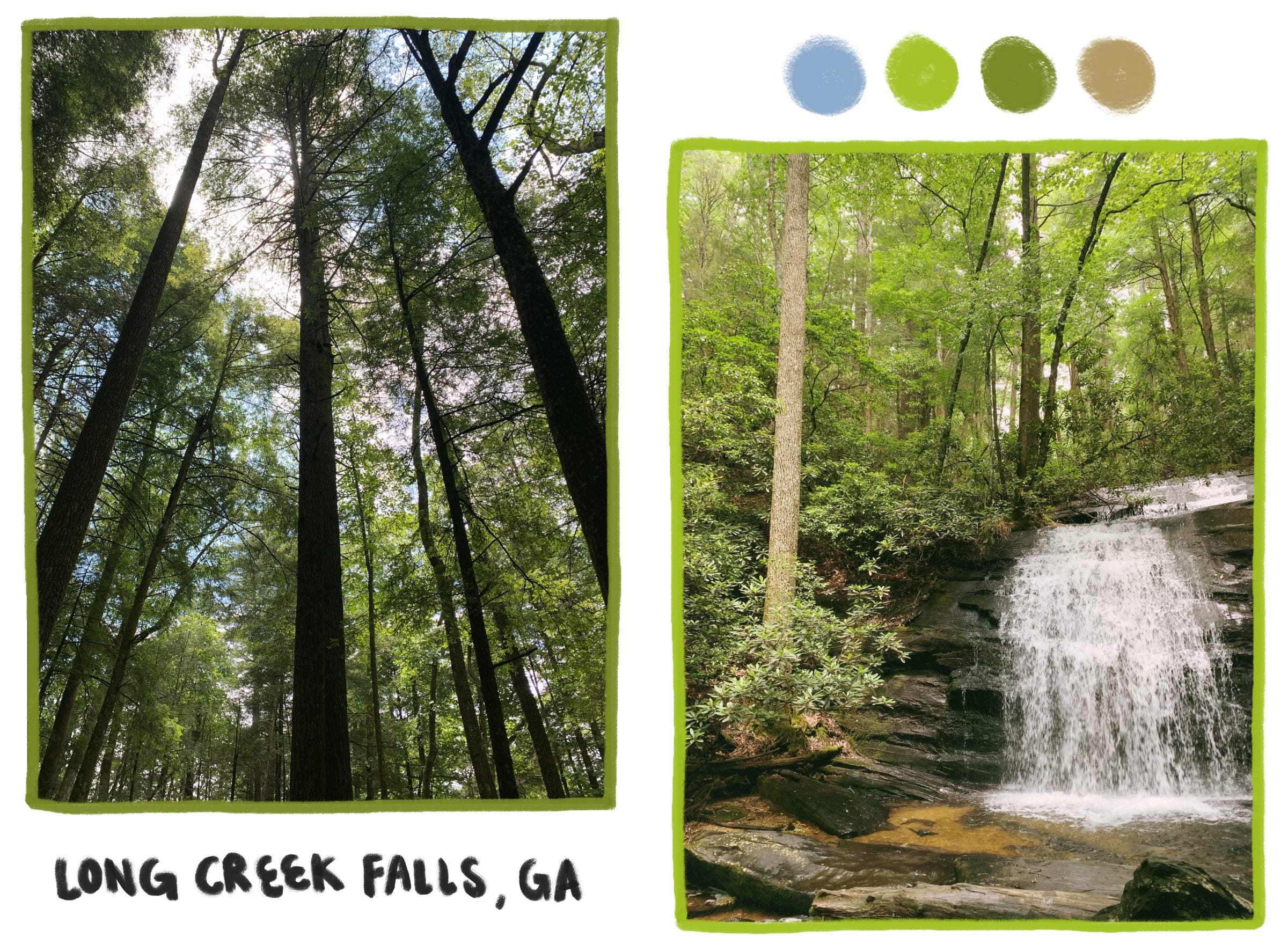Two photos side by side. On the left, a photo taken looking up at tall trees with the sky in the background. On the left, a picture at the base of Long Creek Falls in Georgia. Lush green is everywhere in both photos.