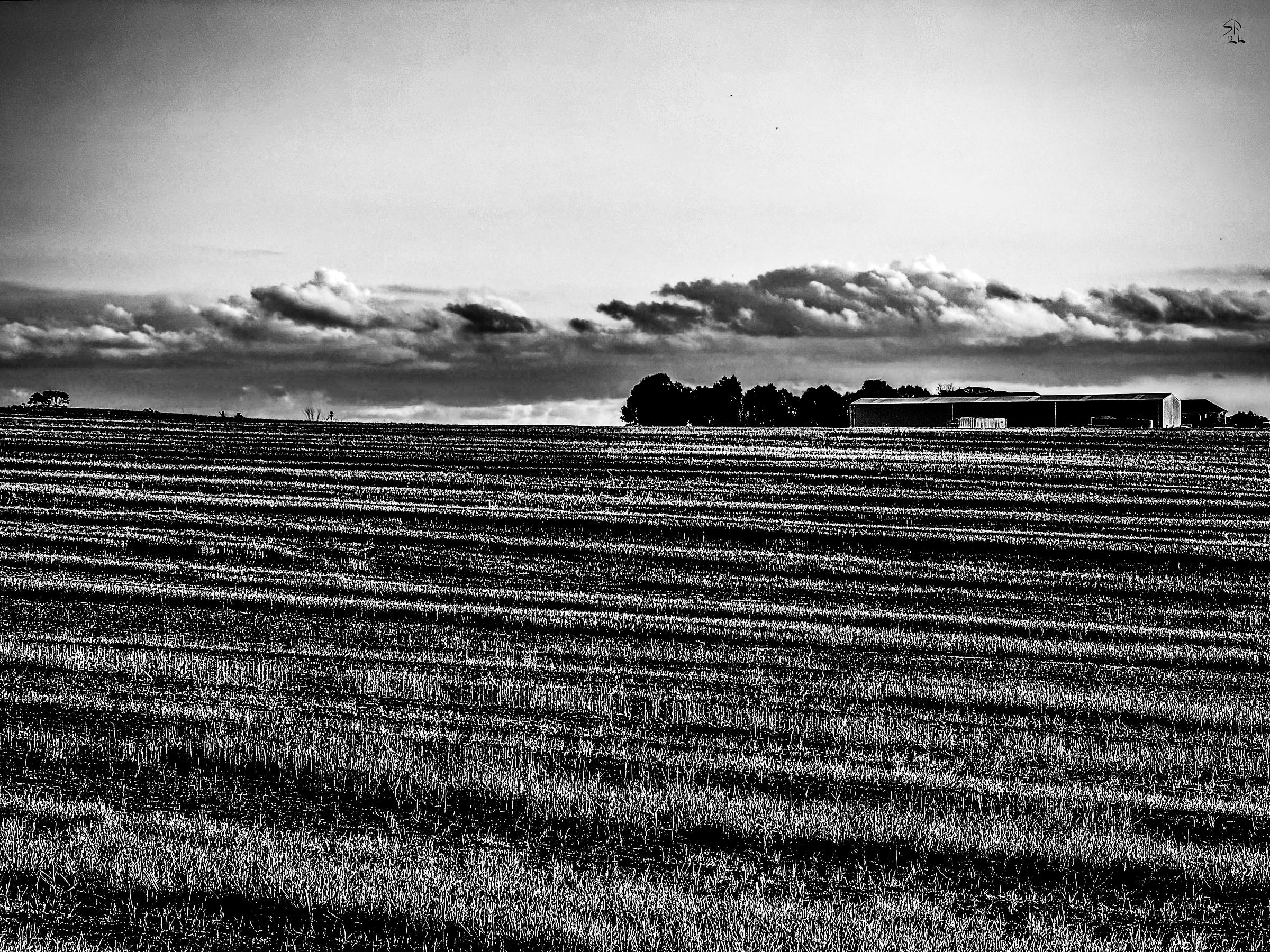 A recently cut paddock under a cloudy sky, trees on the horizon and a long barn.