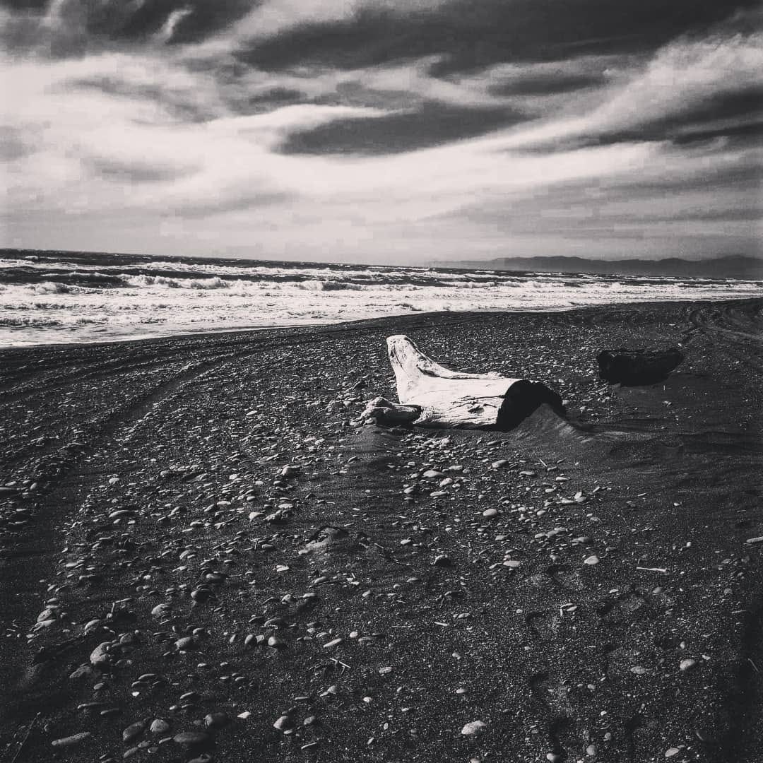 A Sitting Log on the Beach - Image by Shawn R. Metivier, 2018