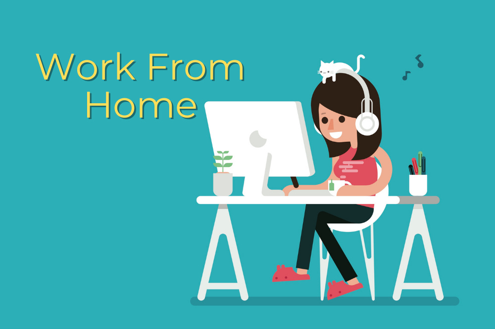 Best Work from Home Jobs in 2024