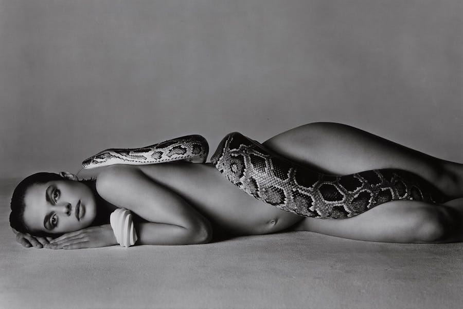 Richard Avedon, ‘Nastassja Kinski and the Serpent’, Los Angeles, California, 1981, Gelatin silver print, 73.3 x 109.5 cm. Photo © PHILLIPS Richard Avedon, ‘Nastassja Kinski and the Serpent’, Los Angeles, California, 1981, Gelatin silver print, 73.3 x 109.5 cm. Photo © PHILLIPS