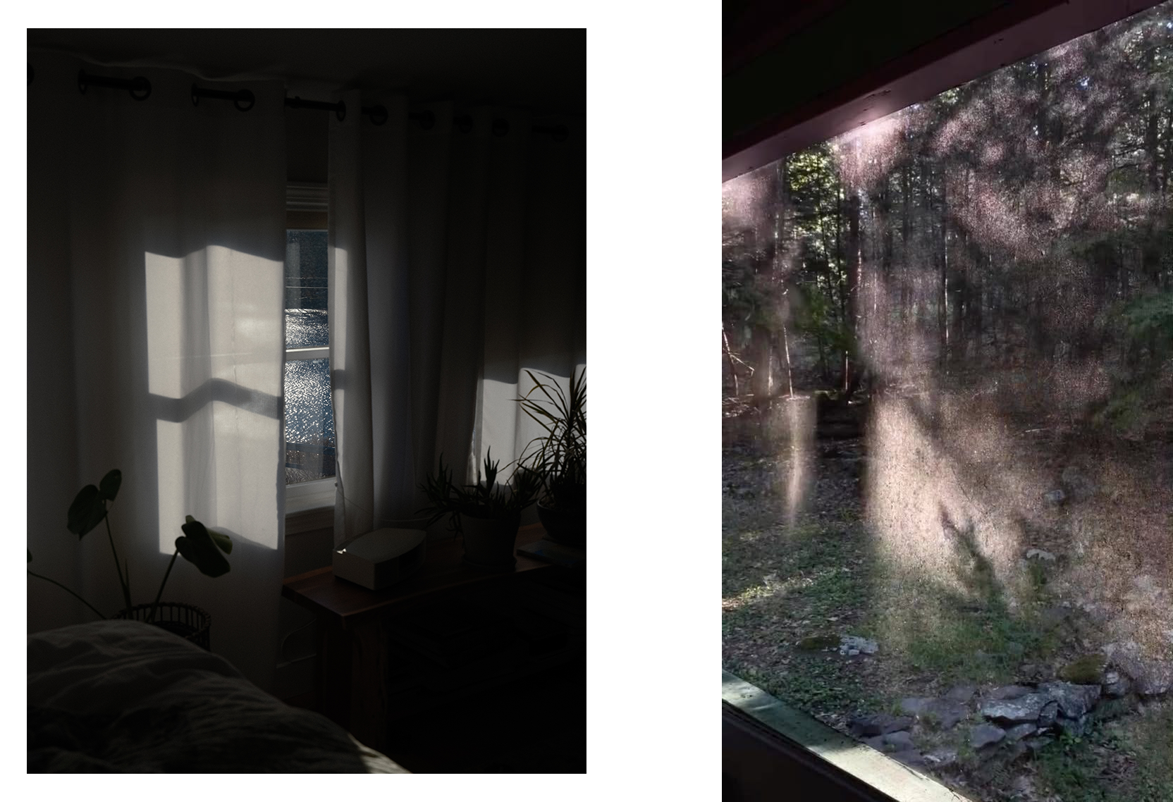 two images next to each other, both moody with a lot of dark shadows. on the left is an image of a window looking out onto water. there is a curtain over most of the window and shadows of plants peaking into the corners. on the right, a photograph looking out what seems to be a window with a screen on it. the light is dappled on the trees and greenery outside.