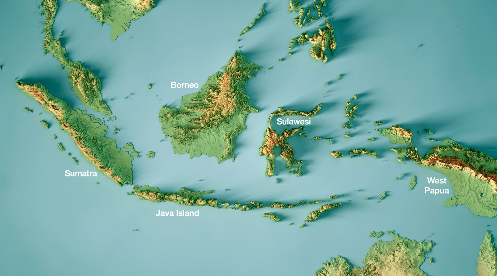 Why is Java So Weird? - by Tomas Pueyo