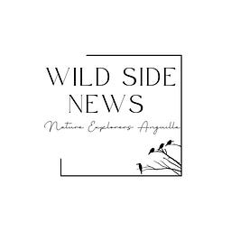 Wild Side News