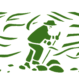 Transformation -- From Reaction to Revolution