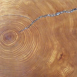 The Cross Section logo