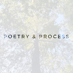 Poetry &amp; Process