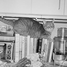 Cat Hair On the Cutting Board