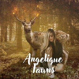 Writing &amp; Selling Stories with Angelique Fawns