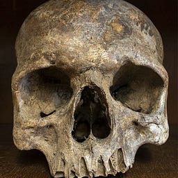 Anthropology & Primatology