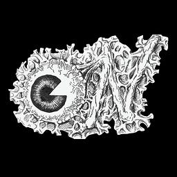 Optic Nerve