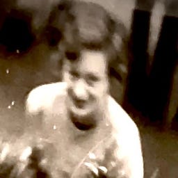 Leaves🐝Elasticity