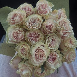 Marlee ᕬ ᕬ Grace