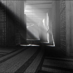 The Shadowed Archive