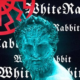 𝖂𝖍𝖎𝖙𝖊 𝕽𝖆𝖇𝖇𝖎𝖙