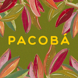 Pacobá Logo