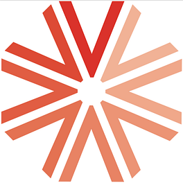 The Variant Perception Blog Logo