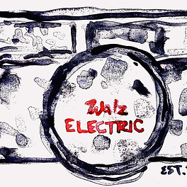 the walz electric Logo