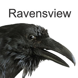 Raven's View Logo