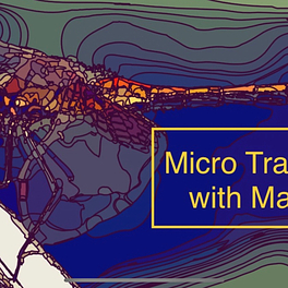 Micro Travels with Mary  Logo