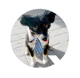 GoodDog’s Substack Logo
