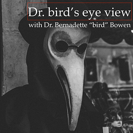 Dr. bird’s eye view Newsletter Logo