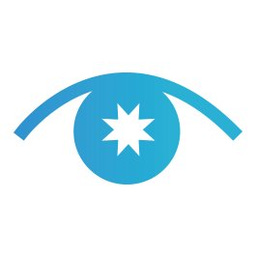 Brighteye Insights Logo