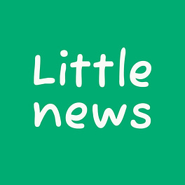 Little News Logo