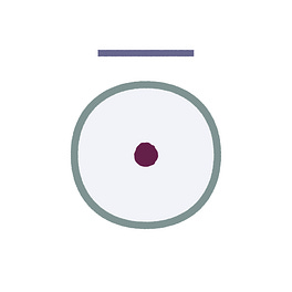 Seven Senses Logo