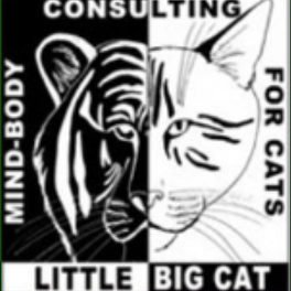 Little Big Cat Logo