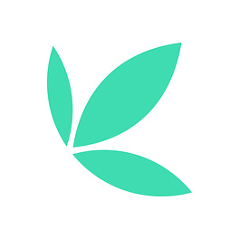 The Bamboo Splinter Logo