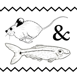 Mouse and Minnow Logo