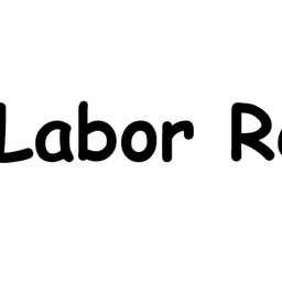 The Labor Report Logo