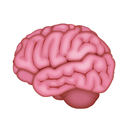 On The Mind Logo